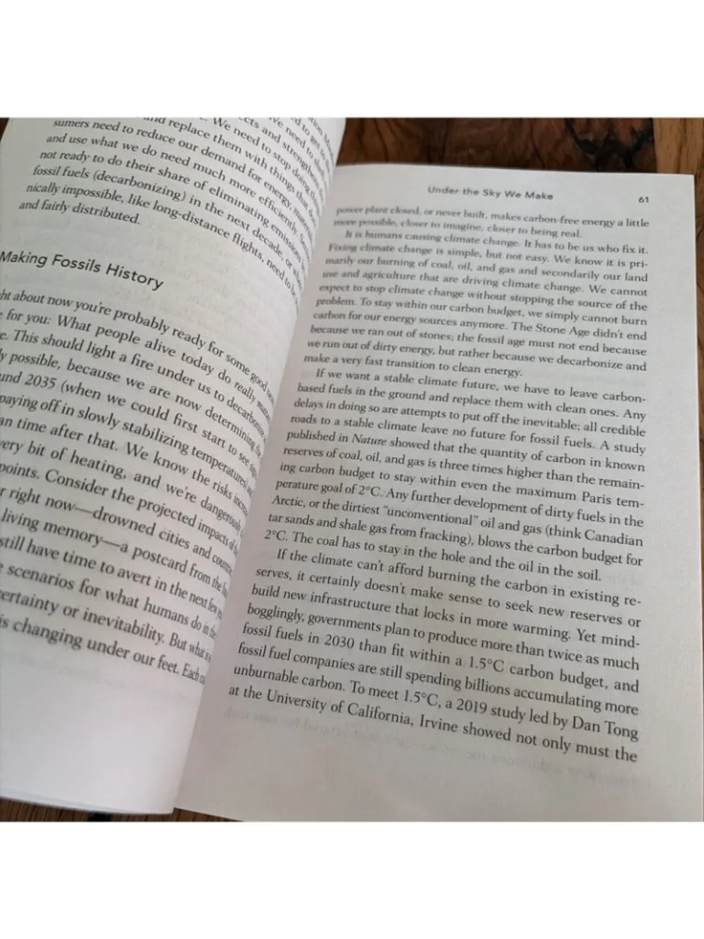 Under the Sky We Make: How to Be Human in a Warming World by Kimberly Nicholas